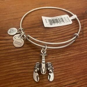 Lobster Alex and Ani bracelet